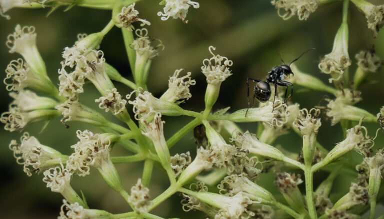 Faded pages hold the guilt